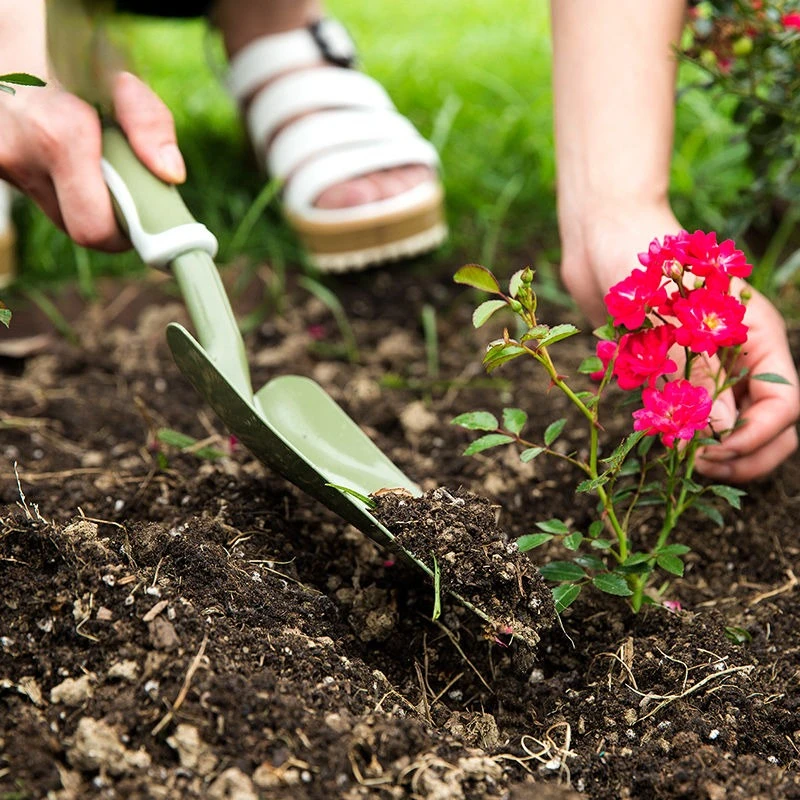 Spade Digging Fork - Ensemble d'outils de jardinage : petite