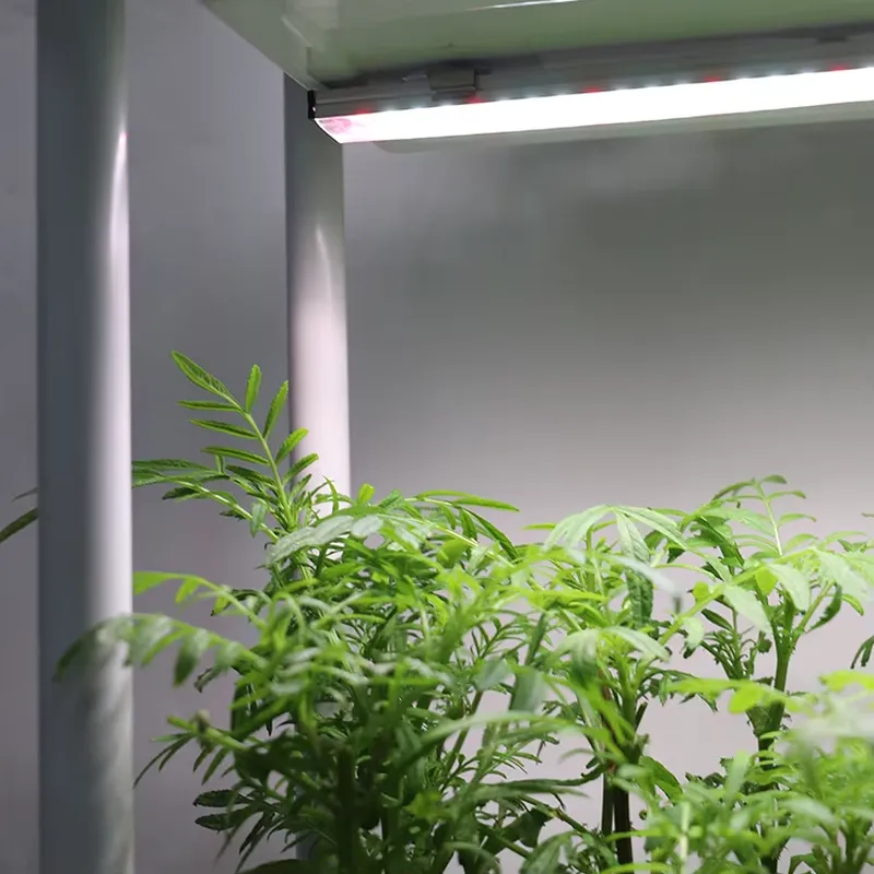 Jardinière intelligente vertic - Self-Watering Planter avis et prix