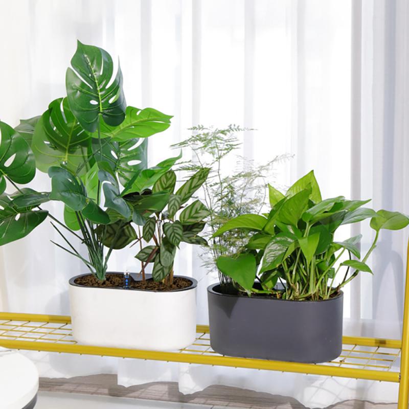 Plante d'Nikavec Indicateur de - Automatic Plant Waterer avis et prix