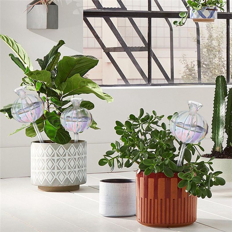 AA94 – Ampoules d’arrosage pou - Self-Watering Planter avis et prix